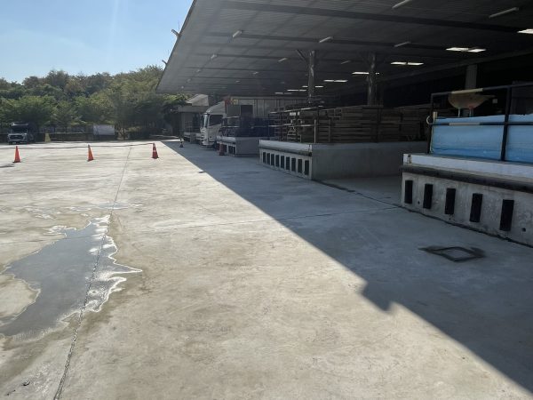 ออกแบบและก่อสร้าง Loading Dock & Yard Area